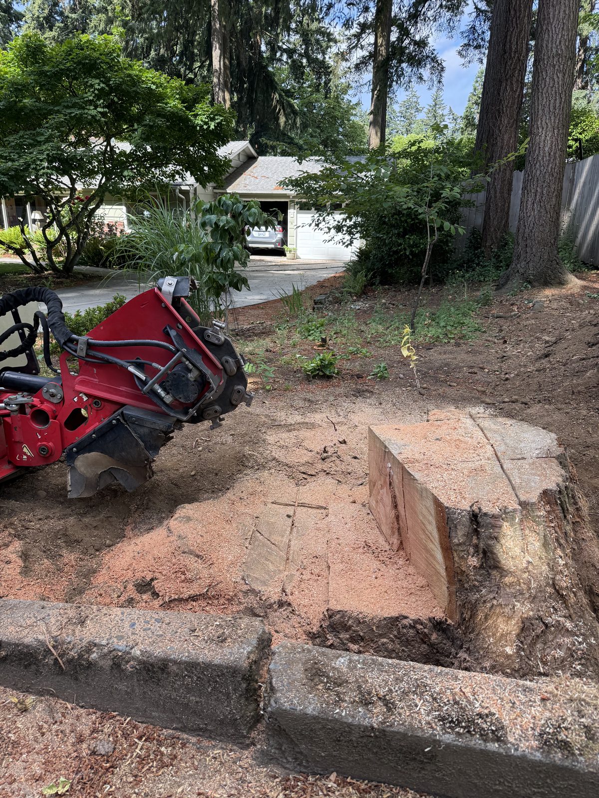 Chopmen stump grinder working on a fir stump at a Vancouver, WA home
